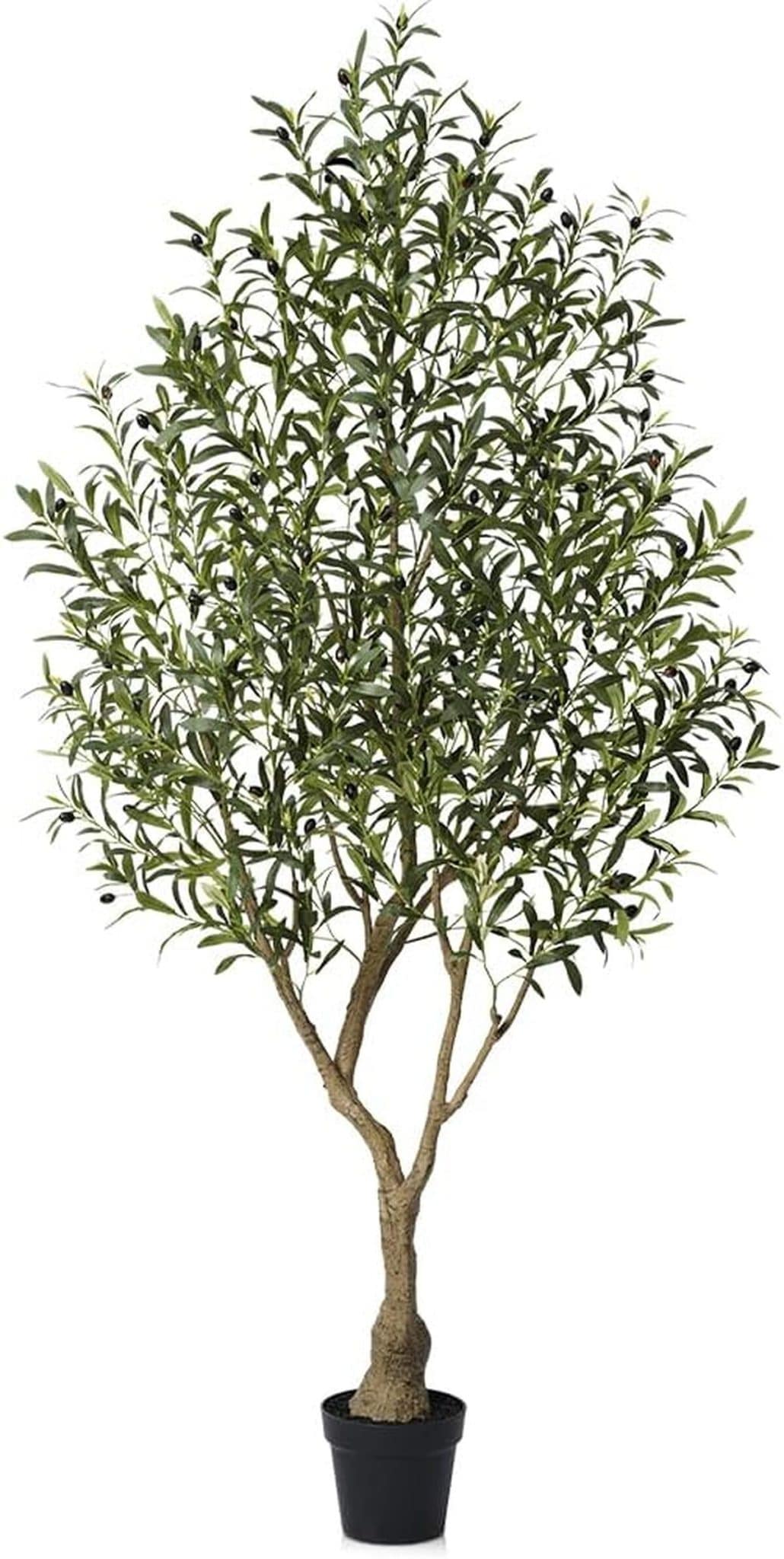 Avis sur l'olivier artificiel VeriNatural 210cm : décoration réaliste pour votre intérieur et extérieur