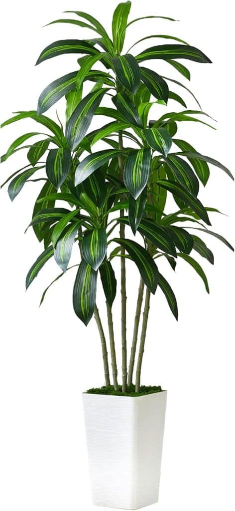 Avis sur la plante artificielle Dracaena 180cm avec jardinière blanche