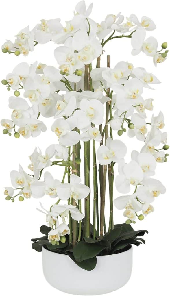 Avis sur les orchidées artificielles Ligne Déco : élégance et entretien facile