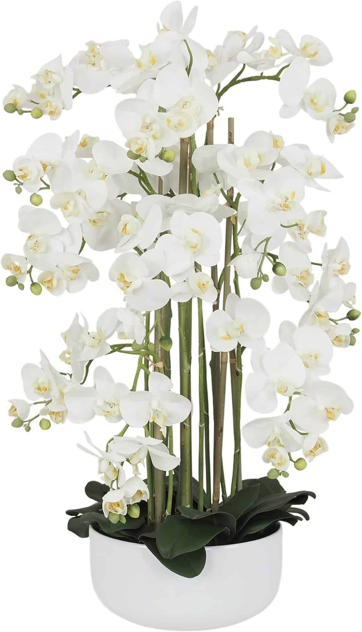 Avis sur les orchidées artificielles Ligne Déco : élégance et entretien facile