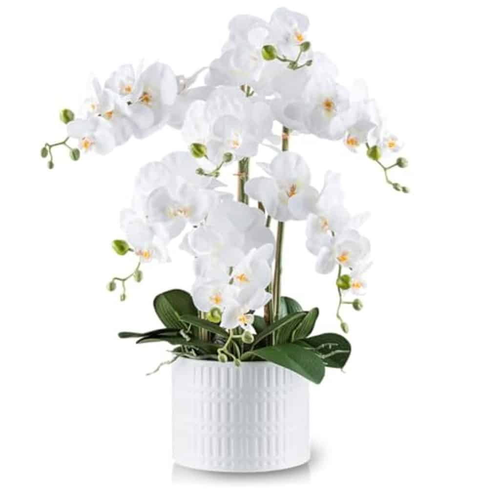 Avis orchidée artificielle XXL Pasch : sublime illusion florale