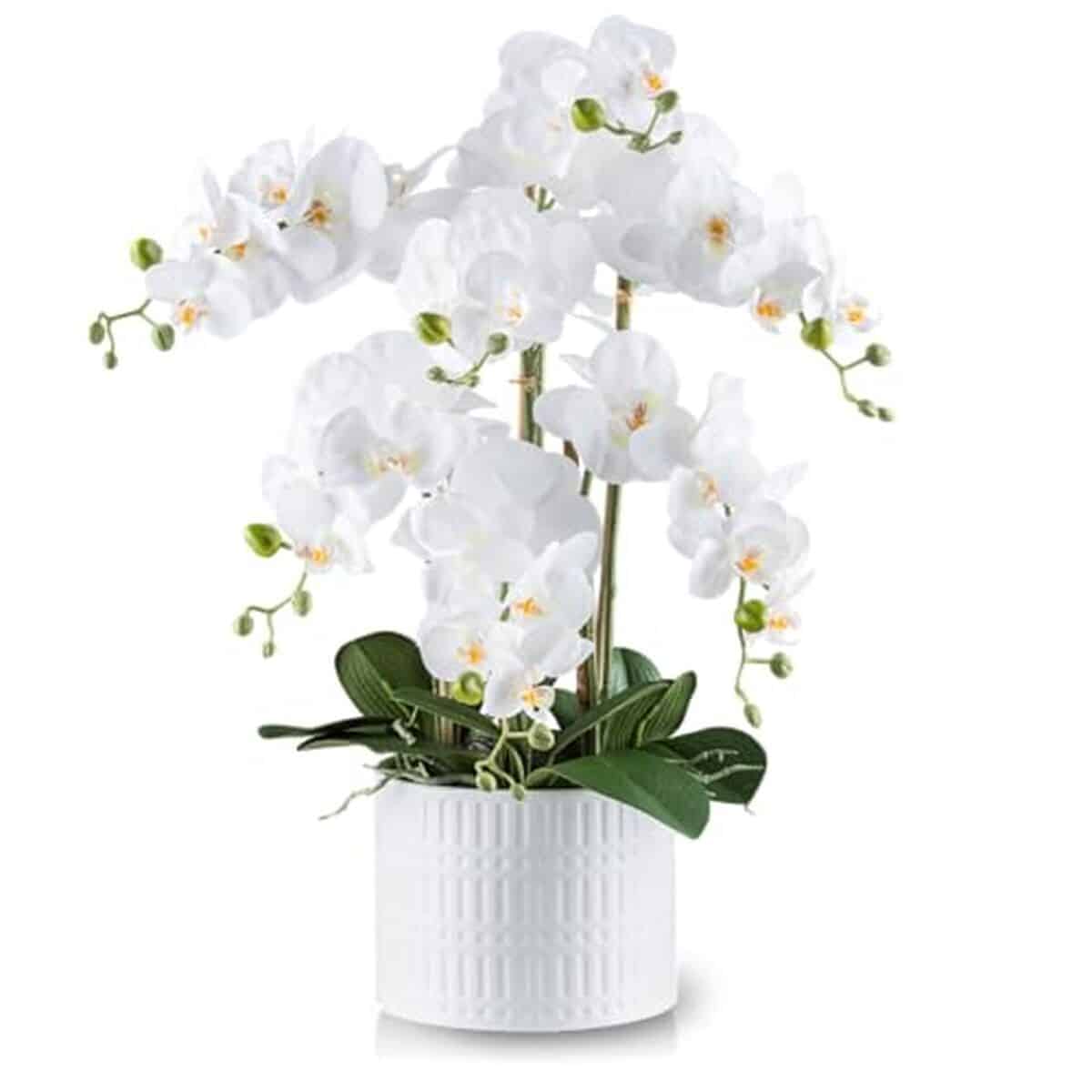 Avis orchidée artificielle XXL Pasch : sublime illusion florale