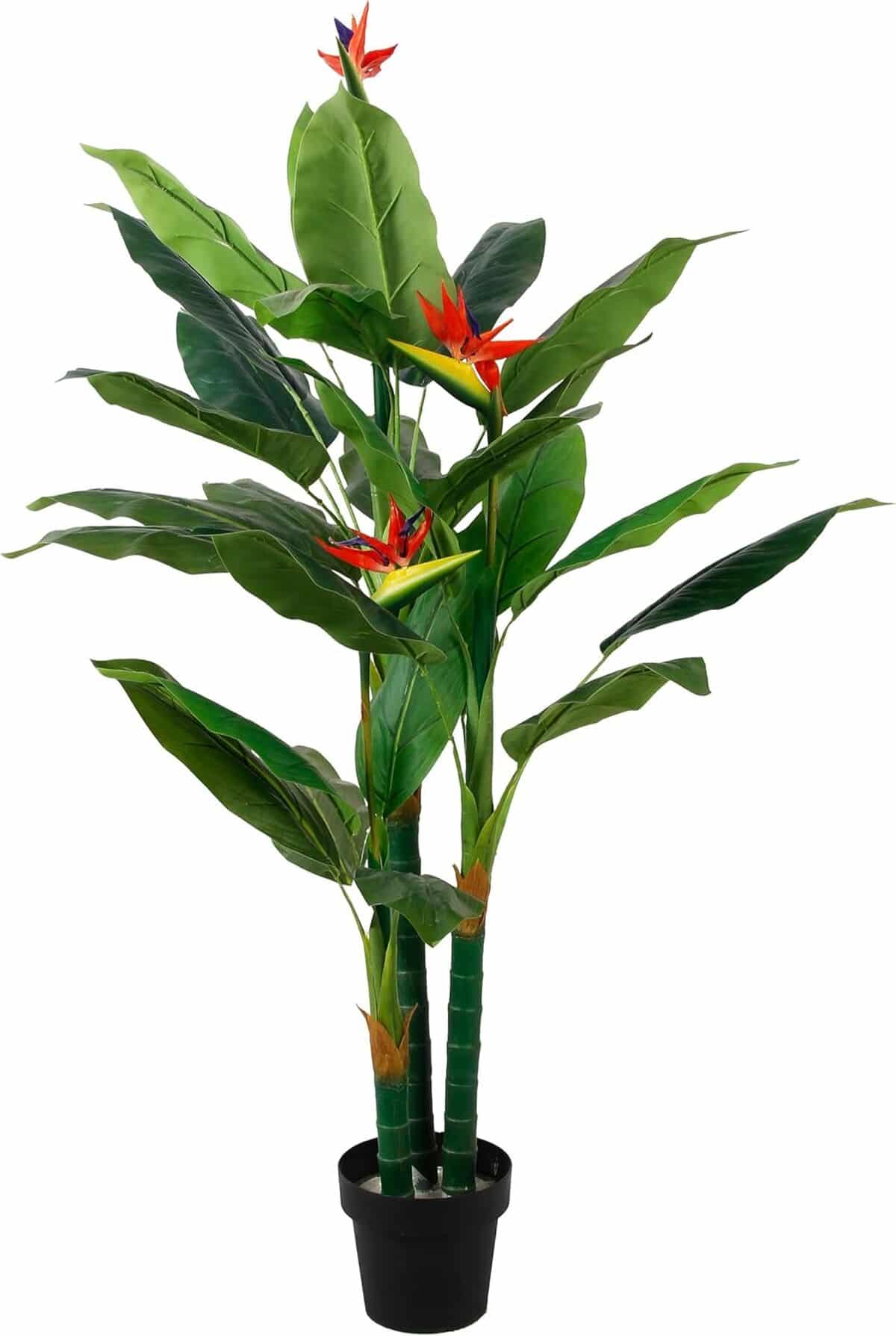 Avis sur la plante artificielle Strelitzia oiseau de paradis réaliste en pot noir (150 cm)