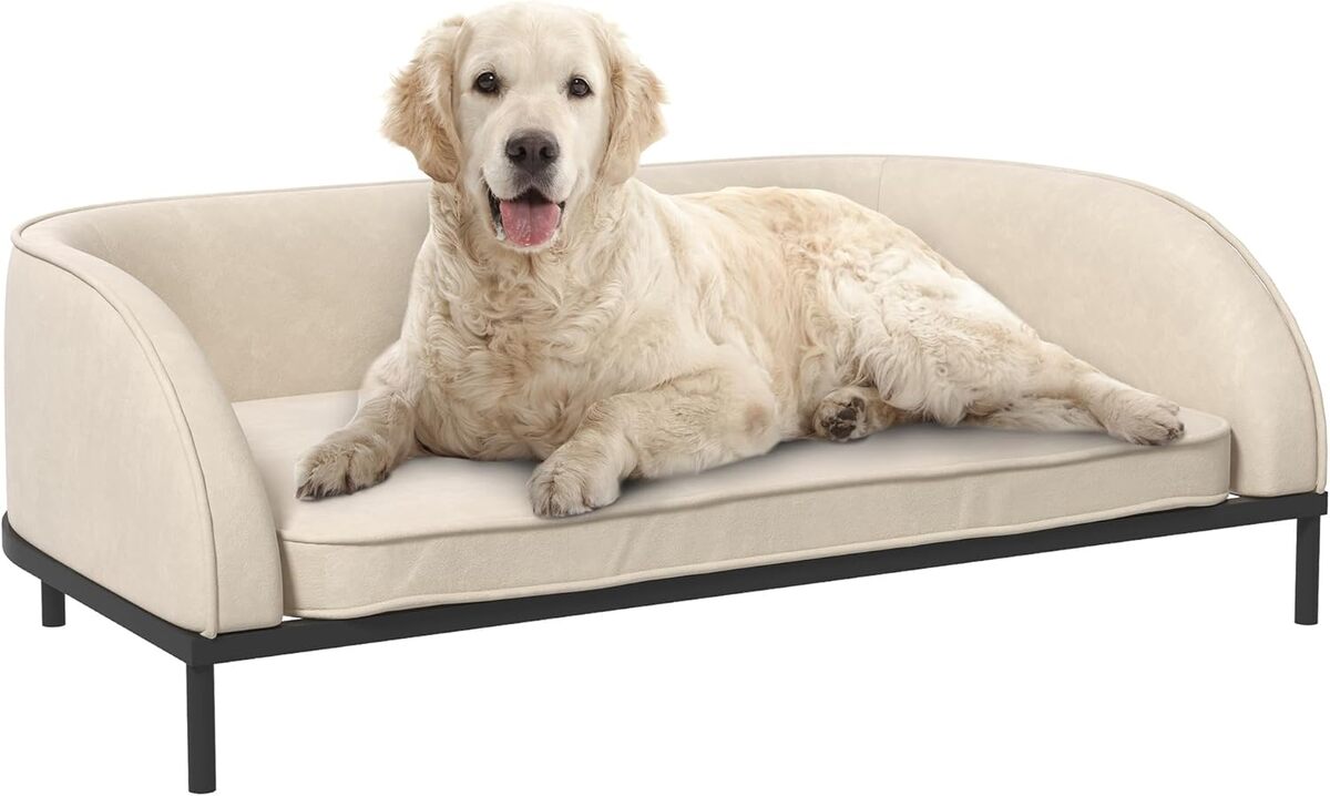 Avis sur le canapé surélevé PawHut pour chien : confort et style