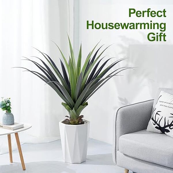 Découvrez pourquoi l'agave artificielle 90 cm de Keeplush est l'ajout parfait pour sublimer votre décoration intérieure avec style et naturel.