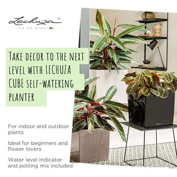 Découvrez notre test de la jardinière cube ultrabrillant 40 scarlet de Lechuza : design, fonctionnalité et avis utilisateur.