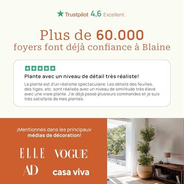 Découvrez l'avis complet sur le ficus Blaine, une plante artificielle de 180 cm qui embellit votre intérieur. Ajoutez une touche de verdure sans entretien grâce à cette option réaliste et élégante.