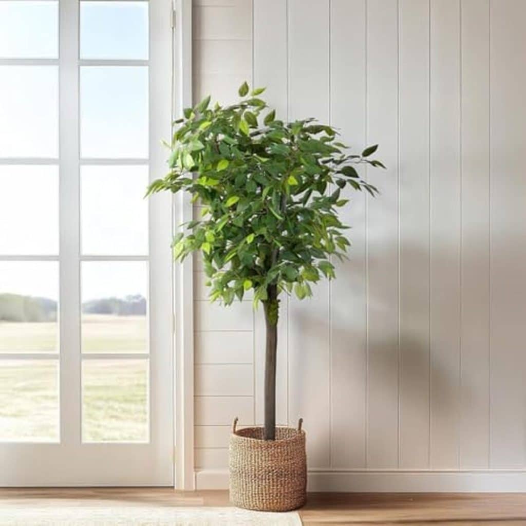 Avis sur le ficus spontané Blaine : plante artificielle de 180 cm