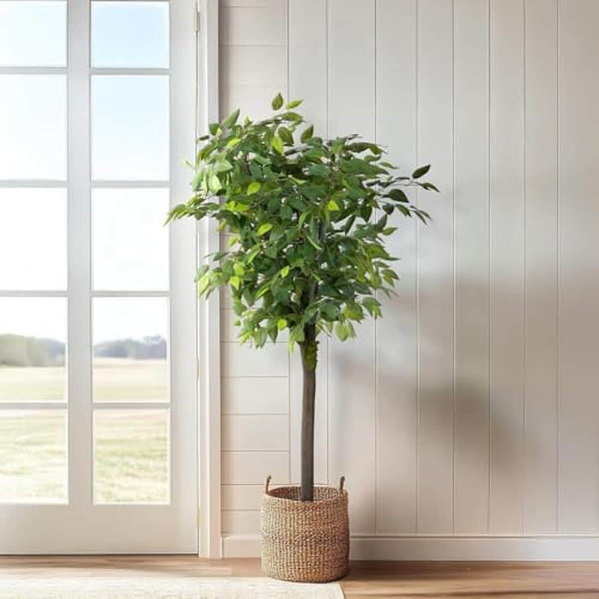 Avis sur le ficus spontané Blaine : plante artificielle de 180 cm